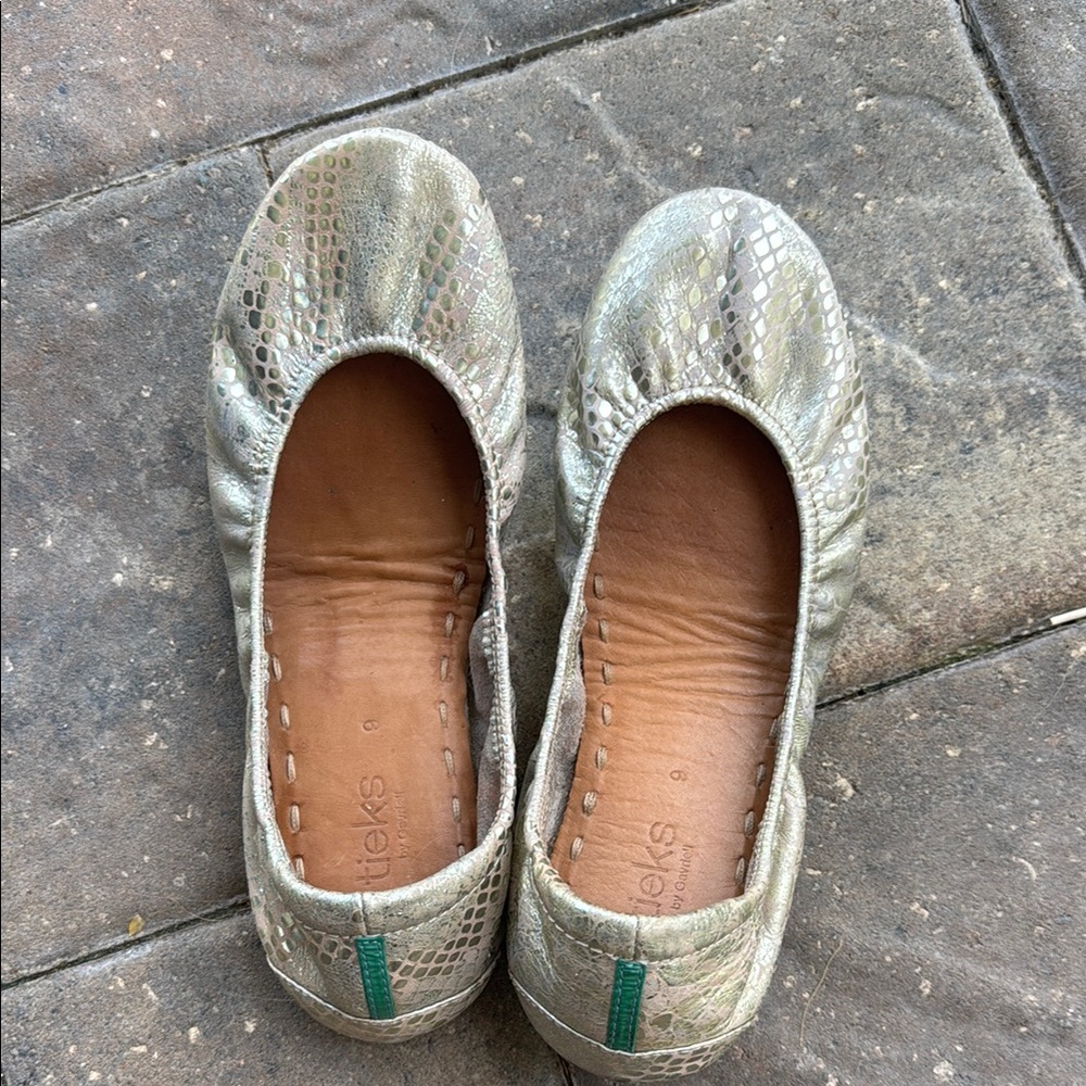 Tieks Silver Ballet Flats